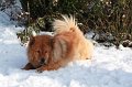 kschnee (4)